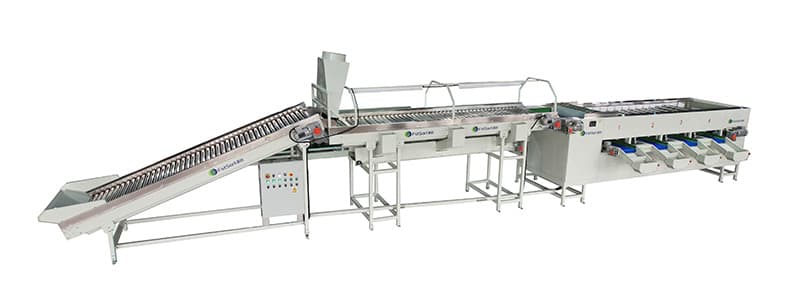 images/1675414586598onion grading machine.jpg